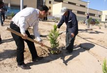 گزارش تصویری مراسم روز درخت کاری و تقدیر از نیروهای باغبانی دانشگاه